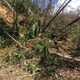 Landslide on route 186 in El Yunque National Forest. Image: Omar Gutiérrez del Arroyo Santiago